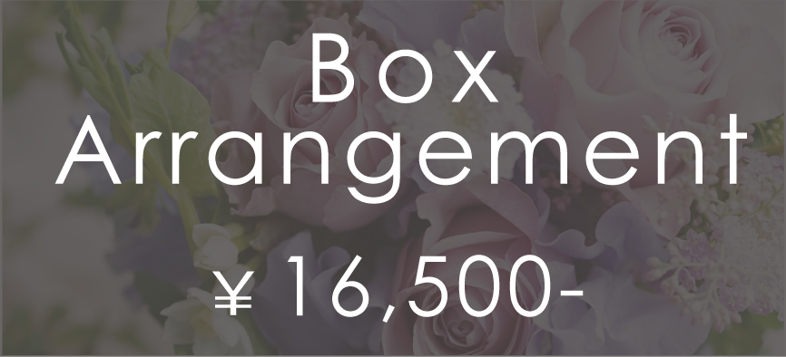 Box Arrangement